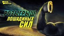 Казахстанцы могут выиграть табун лошадей в акции Parimatch