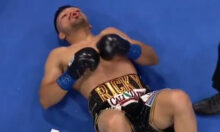 Яркий вечер профессионального бокса в Вероне: быстрые нокауты и непобежденные боксеры