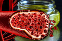 Чеснок для здоровья сосудов: мощный природный помощник в профилактике сердечно-сосудистых заболеваний