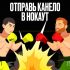 Билодид показала свой роскошный образ