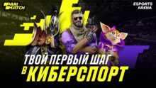 <p> Казахстан примет крупный киберспортивный турнир Parimatch Arena </p>